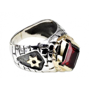 Rafael Jewelry Sterling Silver Ring with Yellow Gold Star of David and Jerusalem Motif & Garnet Jewish Jewelry