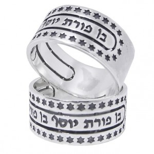 Ring with Jacob's Blessing  & Magen Davids in Sterling Silver Artists & Brands