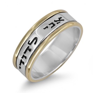 Sterling Silver Customizable English/Hebrew Ring With Gold Stripes Jewish Jewelry